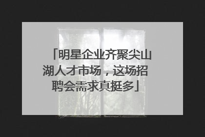 明星企业齐聚尖山湖人才市场，这场招聘会需求真挺多