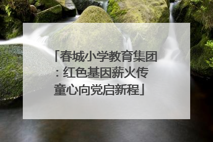 春城小学教育集团：红色基因薪火传 童心向党启新程
