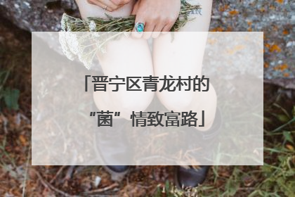 晋宁区青龙村的“菌”情致富路
