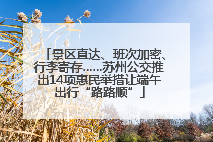景区直达、班次加密、行李寄存……苏州公交推出14项惠民举措让端午出行“路路顺”