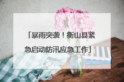 暴雨突袭！衡山县紧急启动防汛应急工作