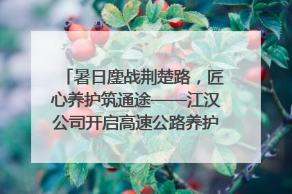 暑日鏖战荆楚路，匠心养护筑通途——江汉公司开启高速公路养护专项工程建设热潮