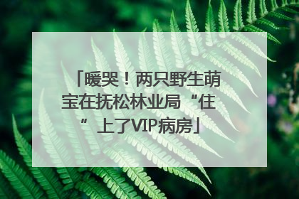 暖哭！两只野生萌宝在抚松林业局“住”上了VIP病房