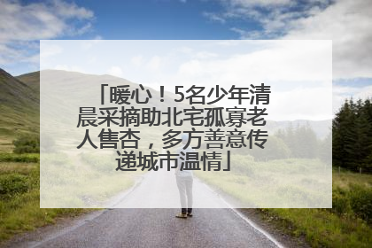 暖心！5名少年清晨采摘助北宅孤寡老人售杏，多方善意传递城市温情