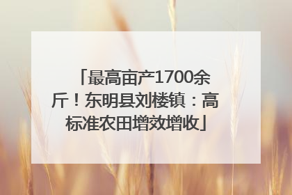 最高亩产1700余斤！东明县刘楼镇：高标准农田增效增收