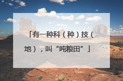 有一种科（种）技（地），叫“吨粮田”