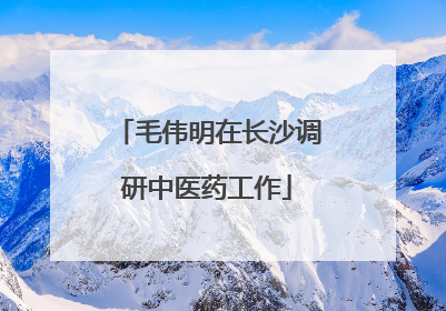 毛伟明在长沙调研中医药工作