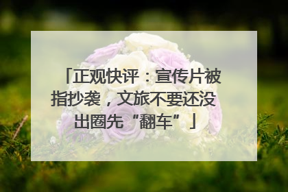 正观快评：宣传片被指抄袭，文旅不要还没出圈先“翻车”