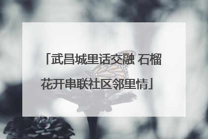 武昌城里话交融 石榴花开串联社区邻里情