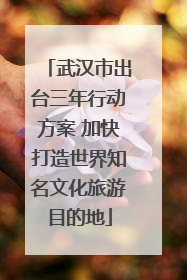 武汉市出台三年行动方案 加快打造世界知名文化旅游目的地