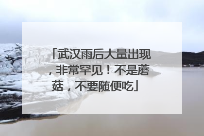 武汉雨后大量出现，非常罕见！不是蘑菇，不要随便吃