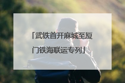 武铁首开麻城至厦门铁海联运专列