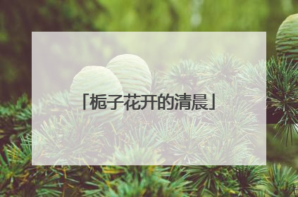 栀子花开的清晨