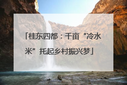 桂东四都：千亩“冷水米”托起乡村振兴梦