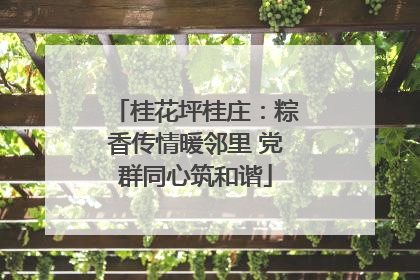 桂花坪桂庄：粽香传情暖邻里 党群同心筑和谐