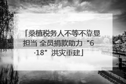 桑植税务人不等不靠显担当 全员捐款助力“6·18”洪灾重建