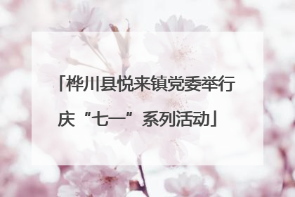 桦川县悦来镇党委举行庆“七一”系列活动