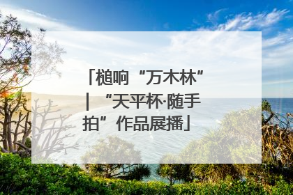 槌响“万木林”｜“天平杯·随手拍”作品展播