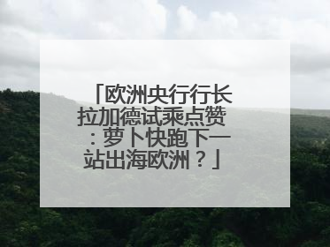 欧洲央行行长拉加德试乘点赞：萝卜快跑下一站出海欧洲？