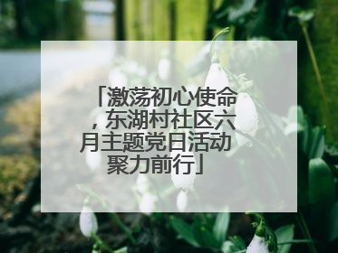 激荡初心使命，东湖村社区六月主题党日活动聚力前行