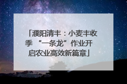 濮阳清丰：小麦丰收季 “一条龙”作业开启农业高效新篇章