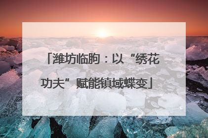 潍坊临朐：以“绣花功夫”赋能镇域蝶变