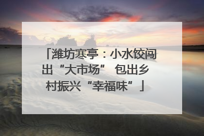 潍坊寒亭：小水饺闯出“大市场” 包出乡村振兴“幸福味”