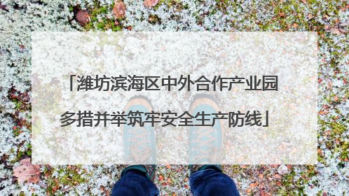 潍坊滨海区中外合作产业园多措并举筑牢安全生产防线