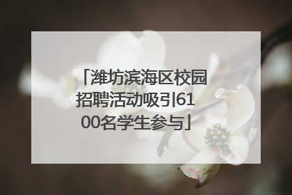 潍坊滨海区校园招聘活动吸引6100名学生参与