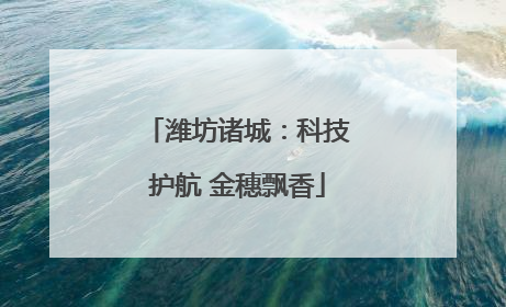 潍坊诸城：科技护航 金穗飘香