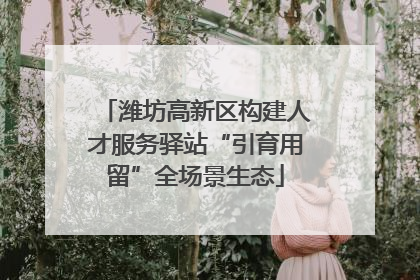 潍坊高新区构建人才服务驿站“引育用留”全场景生态