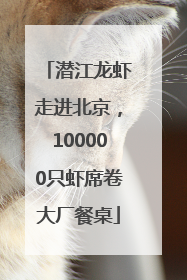 潜江龙虾走进北京，100000只虾席卷大厂餐桌