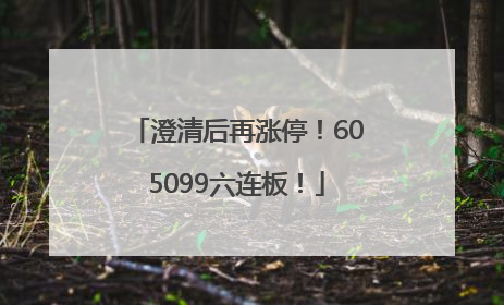 澄清后再涨停！605099六连板！