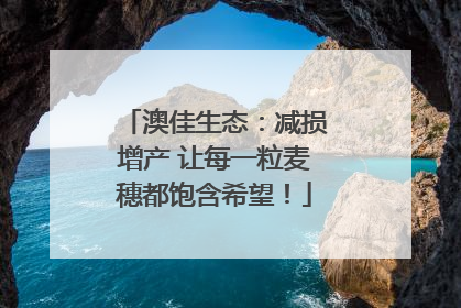 澳佳生态：减损增产 让每一粒麦穗都饱含希望！
