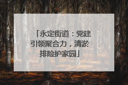 永定街道：党建引领聚合力，清淤排险护家园