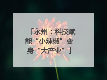 永州：科技赋能“小辣椒”变身“大产业”