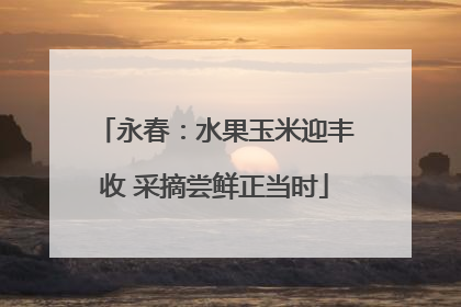 永春：水果玉米迎丰收 采摘尝鲜正当时