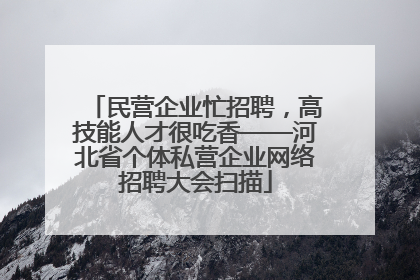 民营企业忙招聘，高技能人才很吃香——河北省个体私营企业网络招聘大会扫描