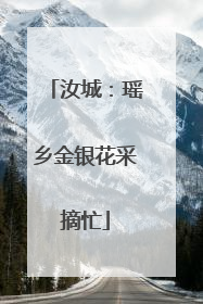 汝城：瑶乡金银花采摘忙