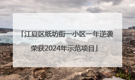 江夏区纸坊街一小区一年逆袭 荣获2024年示范项目