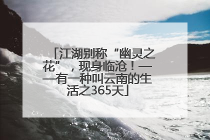江湖别称“幽灵之花”，现身临沧！——有一种叫云南的生活之365天