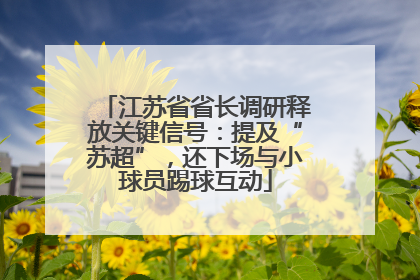 江苏省省长调研释放关键信号：提及“苏超”，还下场与小球员踢球互动