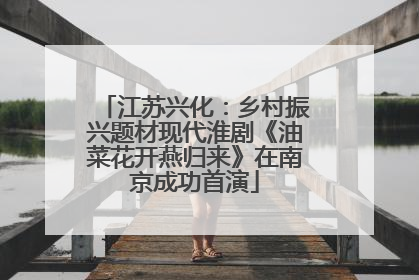 江苏兴化：乡村振兴题材现代淮剧《油菜花开燕归来》在南京成功首演