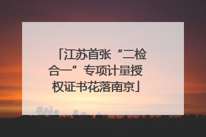 江苏首张“二检合一”专项计量授权证书花落南京