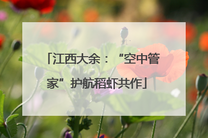 江西大余：“空中管家”护航稻虾共作