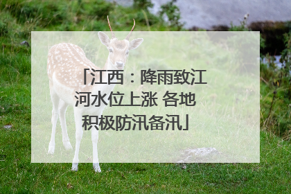 江西：降雨致江河水位上涨 各地积极防汛备汛