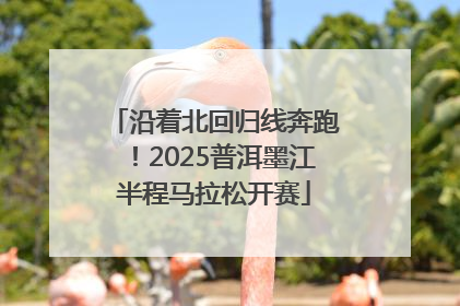 沿着北回归线奔跑！2025普洱墨江半程马拉松开赛