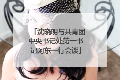 沈晓明与共青团中央书记处第一书记阿东一行会谈
