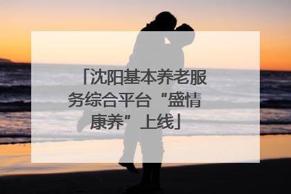 沈阳基本养老服务综合平台“盛情康养”上线