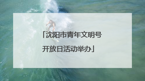 沈阳市青年文明号开放日活动举办